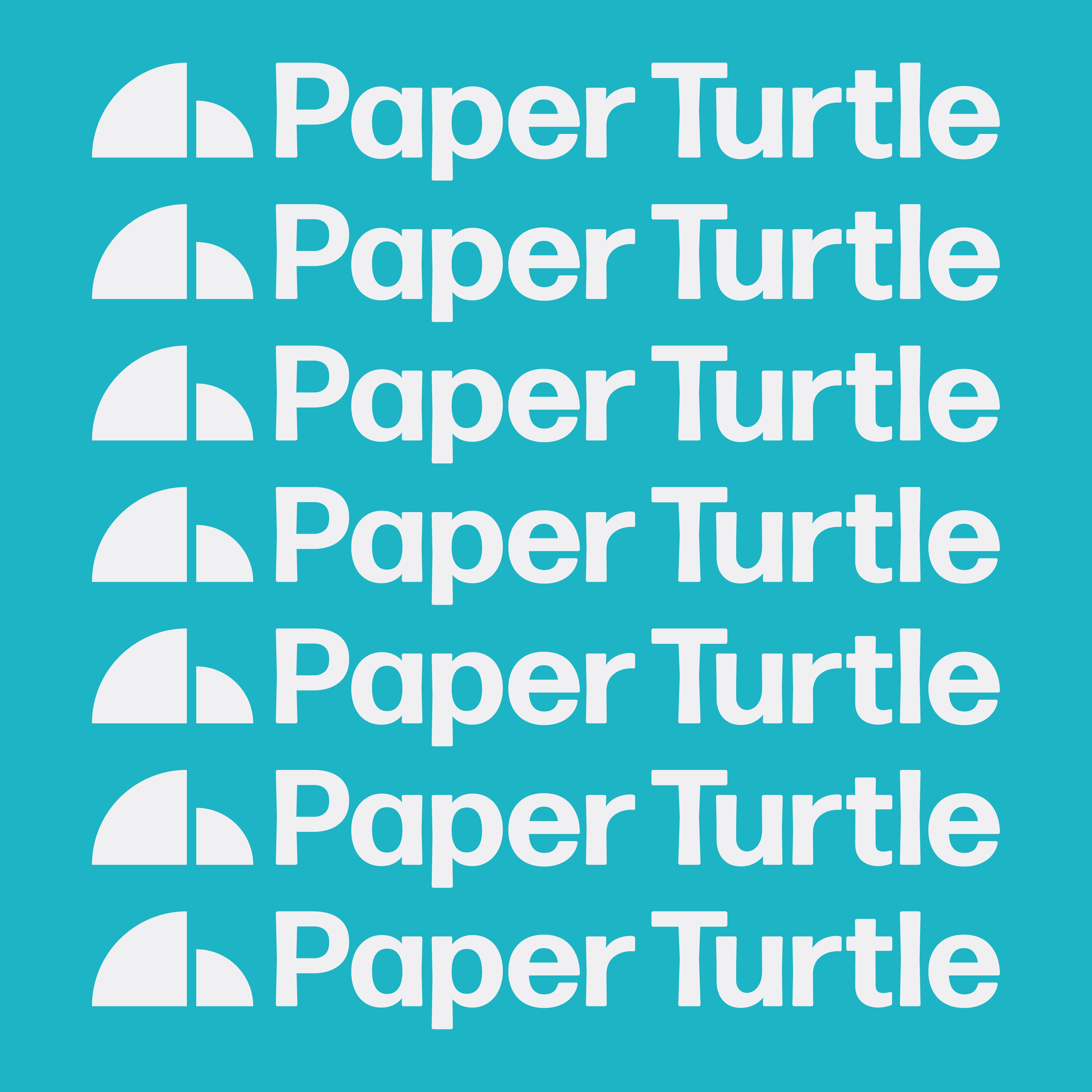 paper turtle