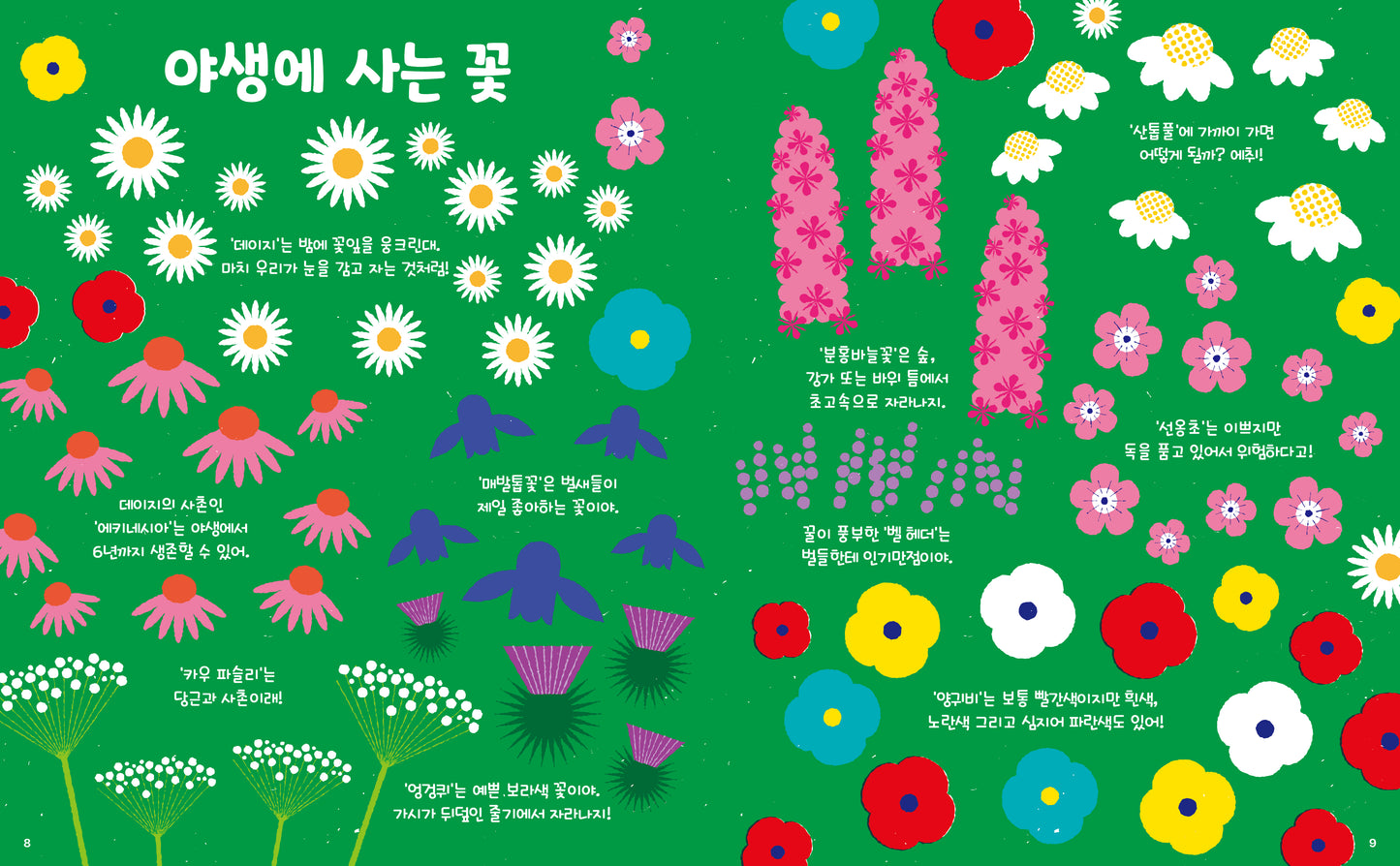 닷(Dot) Vol.1 꽃 이야기