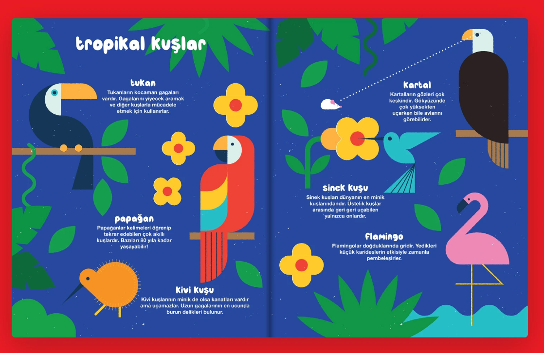 TURKISH - Dot - Sayı 6 | Kuşlar
