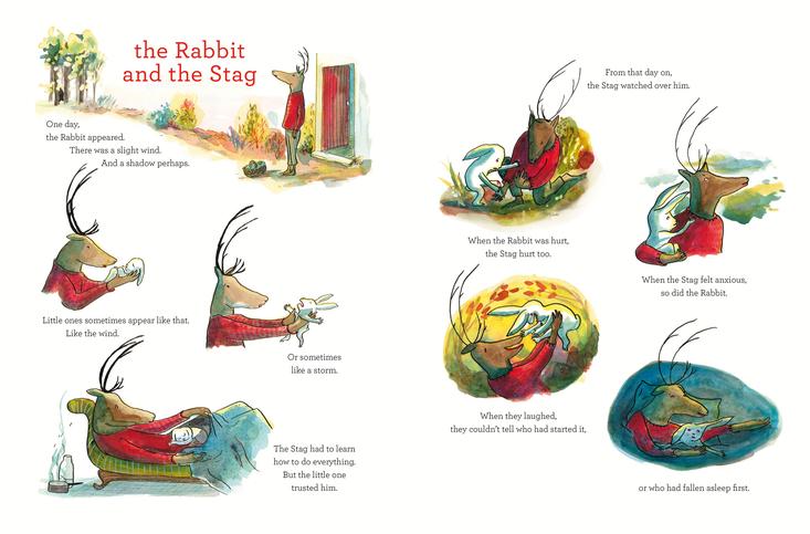 THE RABBIT AND THE SHADOW