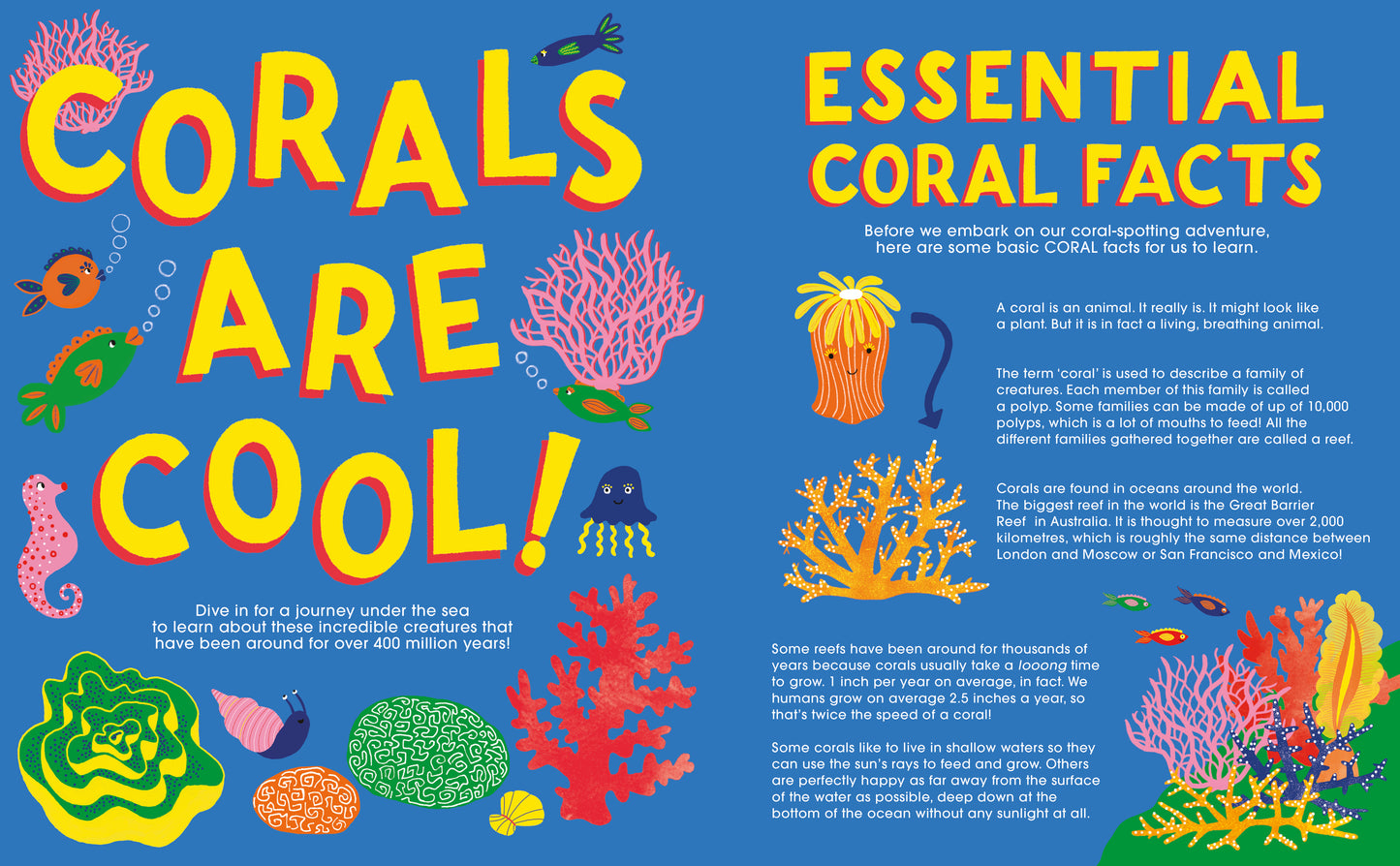 ANORAK - CORALS - VOL 52