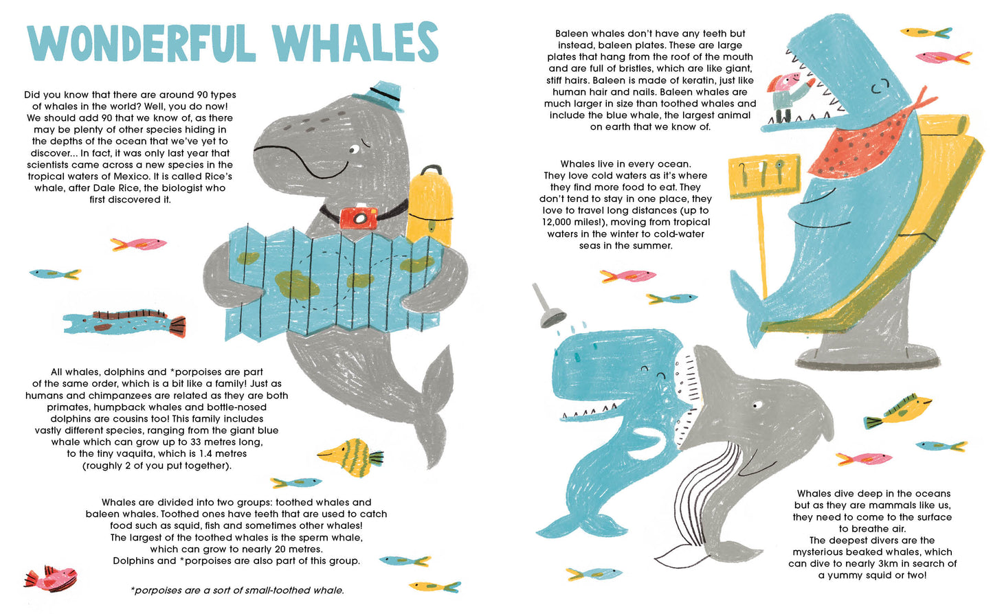ANORAK - WHALES - VOL 60