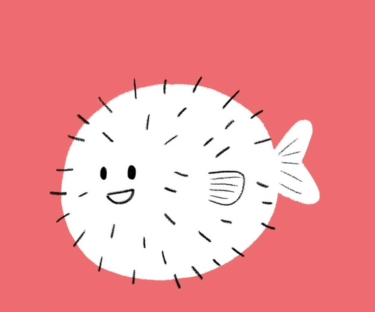 puffer fish & portfolios