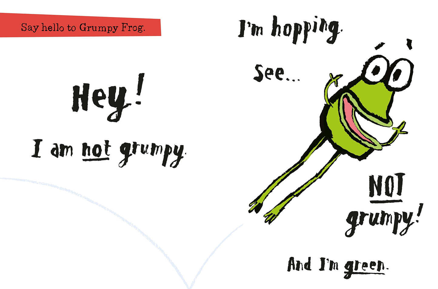 GRUMPY FROG