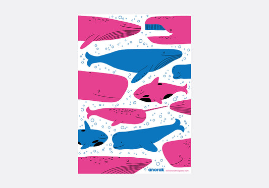 WE LOVE WHALES PRINT